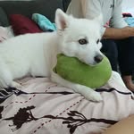 stella skinner - @stella.skinner.06 - Instagram