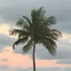 Stella - @stellaskinner8 - TikTok