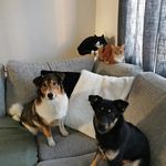 Skipper, Mirra, Mulle & Stella - @skipper_mirra_mulle_stella - Instagram