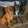 Stella.Skipper - @stella.skipper - TikTok