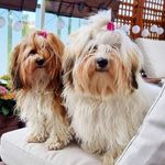 Stella & Solis - @stella_and_solis - Instagram