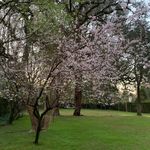 Stella Soto - @stella.soto.7902 - Instagram