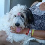 Stella Soto - @stella.maris.soto - Instagram