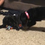 Stanton And Stella - @__stanton.stella - Instagram