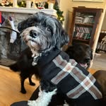 𝕊𝕥𝕖𝕝𝕝𝕒 𝕊𝕥𝕖𝕒𝕕 🐾 - @stellastead19 - Instagram