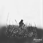 Stella Steiner - @stellasleben - Instagram