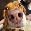 Stella_Stephens - @stellastephens28 - TikTok