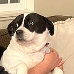 Stella May Ouke-Stout - @stellamayoukestout - Instagram