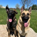 Stella Riley & Stout - @stellastout2217 - Instagram