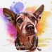 Stella Michelle Strickland - Facebook