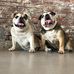 Stella Stubbs - Facebook
