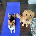 Stubbs & Stella - @stubbsandstella - Instagram