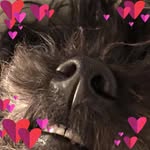 Jackie Stella Sutherland - @granny_jax - Instagram