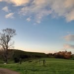 Stella Sutton - @stella.sutton24 - Instagram