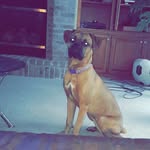 Stella Sutton - @stella_sutton101 - Instagram