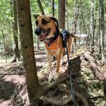 Stella Sutton - @stellas_adventures11 - Instagram
