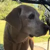stella - @stella.swanner - TikTok