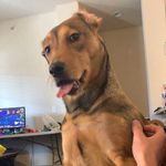 Stella Ella Swanson - @stella_ella_swan - Instagram