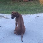 Stella Swanson - @stellatherr_lionhunter - Instagram