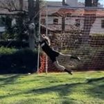 Stella Swanson - @stellagoalkeeping - Instagram