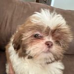 Stella Sweeney - @stella_sweens - Instagram