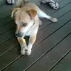 stella sweeney - @stellasweens - TikTok