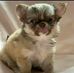 Stella Tia Tella - Facebook