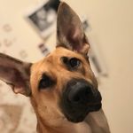 Stella Tanner - @stellajunetanner - Instagram