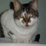 Stella Tate - @stella.tate.12 - Instagram