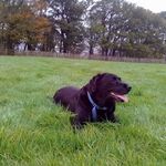 Stella Tate - @stellat242 - Instagram