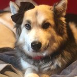 Stella Tate - @stella_tater - Instagram