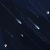 stellatemple2 - @stellatemple2 - TikTok