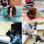 Kora-stella-templeton-mavrick - @korastellamavricktempleton - Instagram