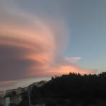 Stella Testa - @stellina_testa - Instagram