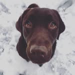 Stella.testarossa - @stella.testarossa - Instagram