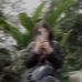 Stella Thapa - Facebook