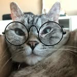 Stella Thornton - @ywcuac0v - Instagram