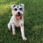 Stella Wayne Thornton - @stella.wayne - Instagram