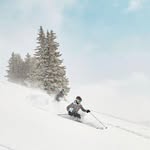 Stella Tong - @swytong - Instagram