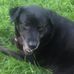 Stella Tracy - Facebook