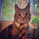 Stella Tracy - @stella.tracy.14 - Instagram