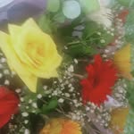 Dinh Thu Dinh Thu - @stella_trang - Instagram