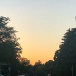 Stella - @stella_tremblay441 - Instagram