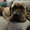 Stella - @trippie.stella - TikTok