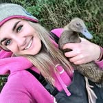 stella trippleson - @stellatrippleson - Instagram