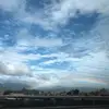 stellatsai1220 - @stellatsai1220 - TikTok