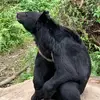 Y.H.T - @stella.tsai2 - TikTok
