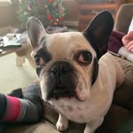 Stella Tuttle - @madame_stella_tuttle - Instagram