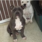 Stella_Tyson❤️❤️ - @stella_tyson_12 - Instagram