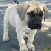 Stella Tyson - Facebook